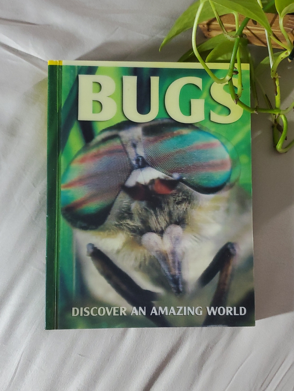 BUGS by MILES KELLY DELUXE HARDCOVER EDITION
